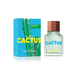 Comprar Dreams Green Cactus