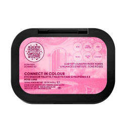 Connect In Color Eeyeshadow Palette