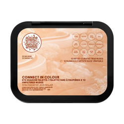 Connect In Color Eeyeshadow Palette
