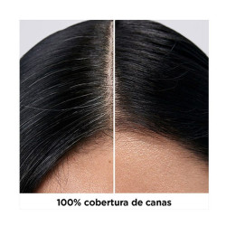 Colorstay Longwear Cream Color