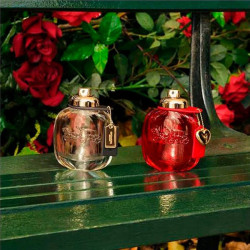 Perfumes (7749)