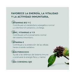 Multivitaminas