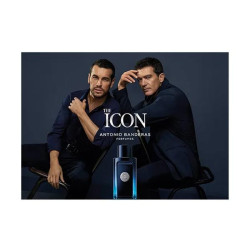 The Icon