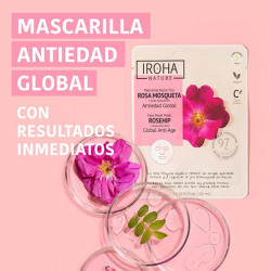 Rosa Mosqueta