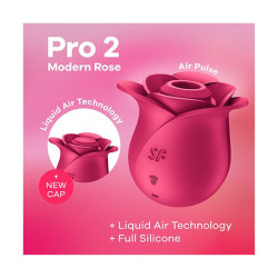 Pro 2 Rosa Moderna