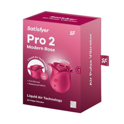 Pro 2 Rosa Moderna