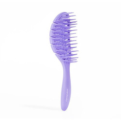 Purple Lavender