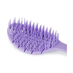 Purple Lavender