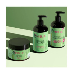 Shampoo Rosemary Mint