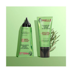 Scalp Treatment Rosemary Mint