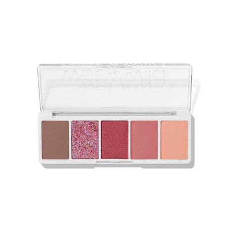Color Icon 5 Pan Palette