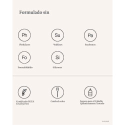 Leave In Reparador Sin Aclarado