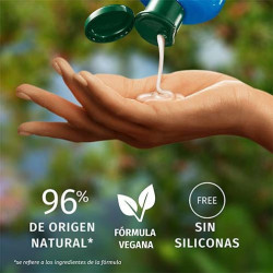 Champú Reparador Aceite Argán