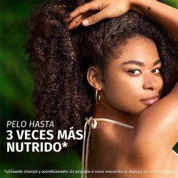 Champú Reparador Aceite Argán