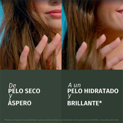 Champú Fortificante Aloe