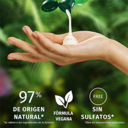 Champú Fortificante Aloe