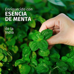 Champú Purificante Menta