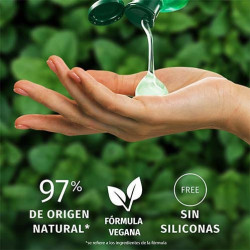 Champú Purificante Menta