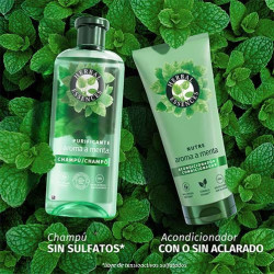 Champú Purificante Menta