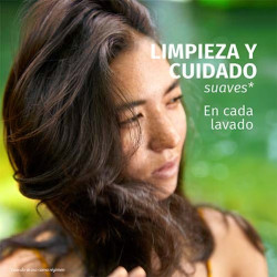 Champú Purificante Menta