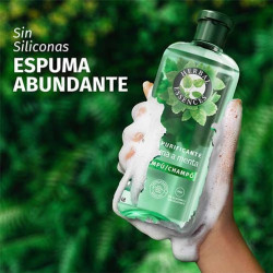 Champú Purificante Menta