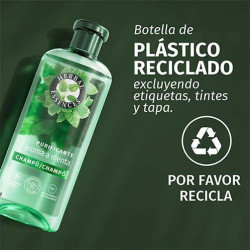 Champú Purificante Menta