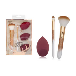 Comprar Set 2 Brochas Y 3 Esponjas