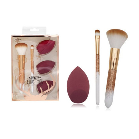 Set 2 Brochas Y 3 Esponjas