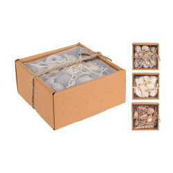 Comprar Conchas Decorativas