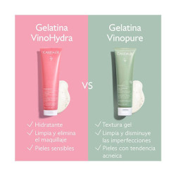 Vinohydra
