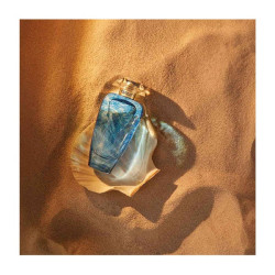Cyprus Shell