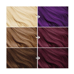 Bruised Violet