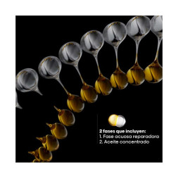 Absolut Repair Molecular Oil