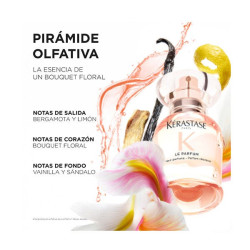 Gloss Absolu