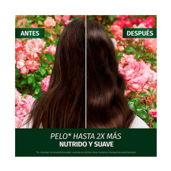 Aroma Rosas