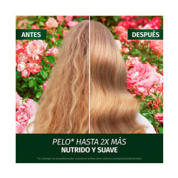 Aroma Rosas