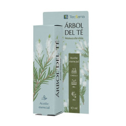 Comprar Árbol De Té