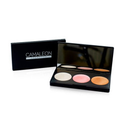 Comprar Paleta Iluminadores En Crema