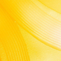 Vitamina C