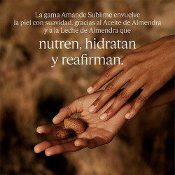Amande Sublime Concentré De Lait Lissant