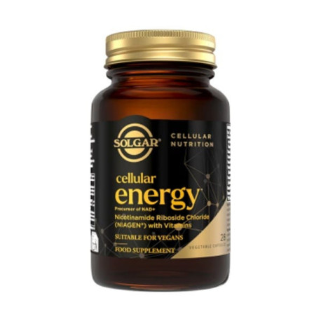 Cellular Energy