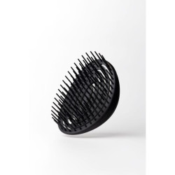 Oval Negro