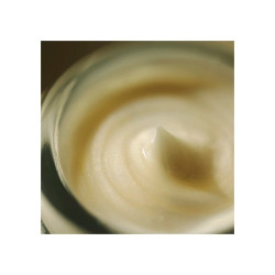 Refill Melty Rich Eye Cream
