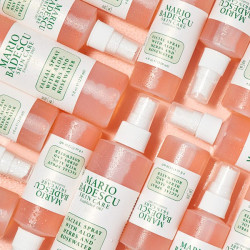 Facial Spray Aloe, Herbs & Rosewater