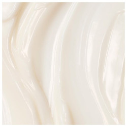 Absolute Silk Illuminative Cream