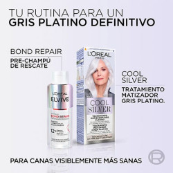 Tratamiento Matizador Plateado