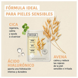 Avena