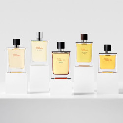 Terre D'hermès