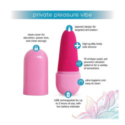 Private Pleasure Vibe