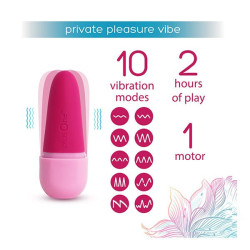 Private Pleasure Vibe